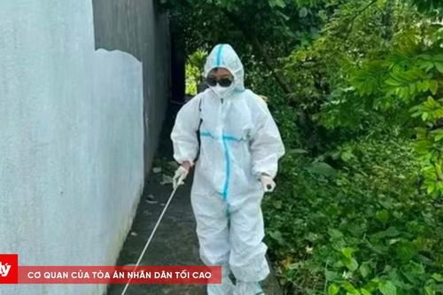 Bé gái ở Thanh Hóa tử vong do Viêm não Nhật Bản