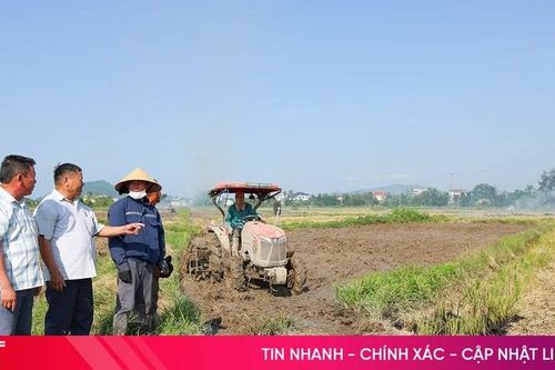 Chủ động sản xuất hè thu, né thời tiết bất lợi vào cuối vụ