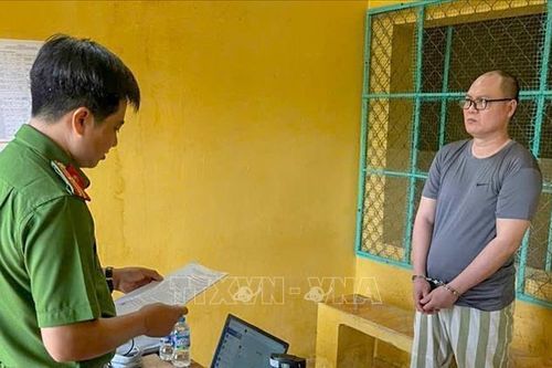 Khởi tố cựu Tổng Giám đốc, Kế toán trưởng Công ty cổ phần Lương thực Hậu Giang