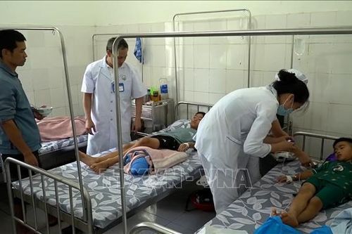Vụ ngộ độc thực phẩm tại Quảng Trị: Phát hiện vi khuẩn trong các mẫu bệnh phẩm và thực phẩm