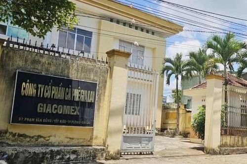 Phát hiện sai phạm trong cổ phần hóa công ty cà phê, kiến nghị chuyển hồ sơ sang công an
