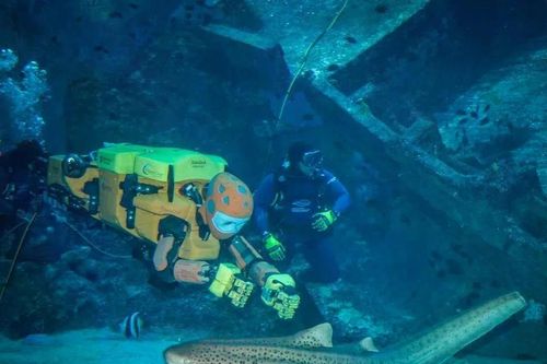 Đại học Stanford phát triển robot hình người dưới nước OceanOneK, có thể lặn sâu 1.000 m