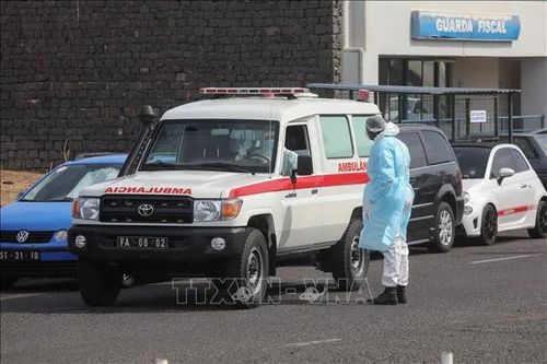 WHO: Virus Hanta trên tàu du lịch không bùng phát thành đại dịch