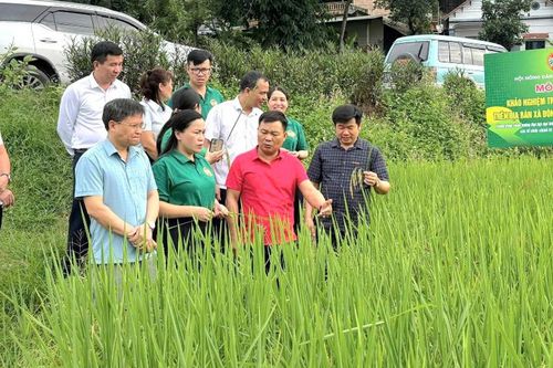 Tuyên Quang: Hội Nông dân kiểm tra công trình chào mừng Đại hội MTTQ Việt Nam XI