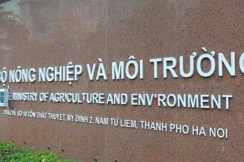 Bộ Nông nghiệp và Môi trường: Tiếp tục sắp xếp bộ máy, tinh gọn đầu mối