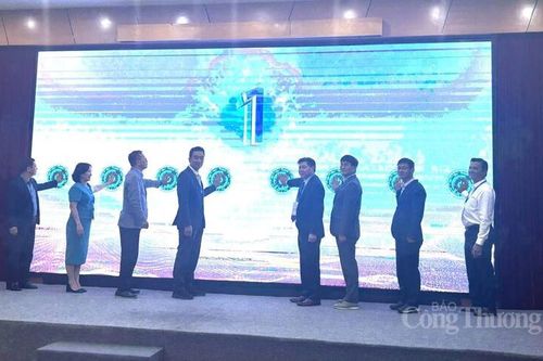 Khởi động dự án Nâng cao năng suất và tăng cường chuỗi giá trị vừng tại Việt Nam