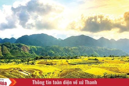Du lịch giá rẻ