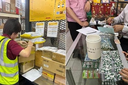 Interpol truy quét đường dây thuốc giả quy mô lớn