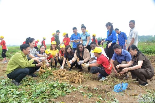 Nghị quyết 'bén rễ' tại cơ sở