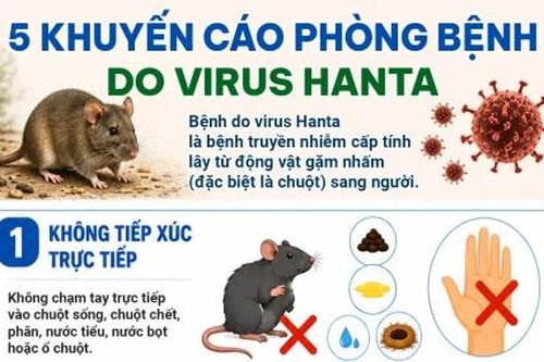 5 khuyến cáo phòng bệnh do virus Hanta