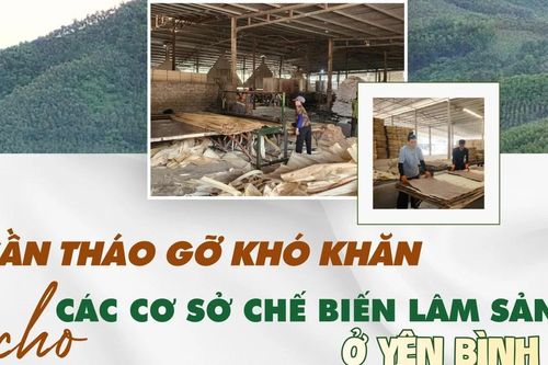 Cần tháo gỡ khó khăn cho các cơ sở chế biến lâm sản ở Yên Bình