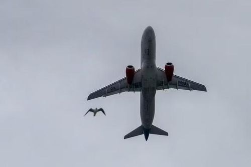 Nga sẵn sàng sản xuất hàng loạt máy bay Superjet 100 nhằm chấm dứt phụ thuộc Boeing và Airbus