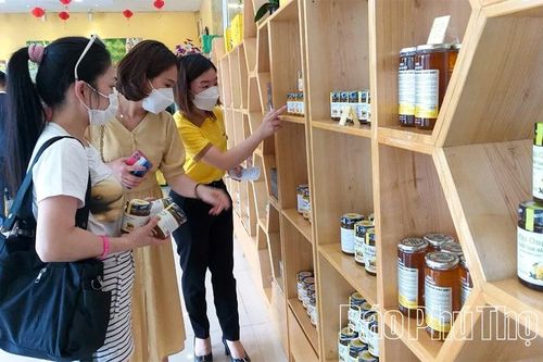 Thúc đẩy hệ sinh thái doanh nghiệp khoa học và công nghệ