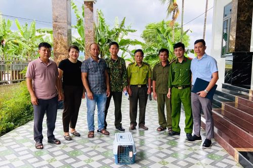 Bàn giao cá thể cu li quý hiếm cho Trung tâm Cứu hộ động vật hoang dã