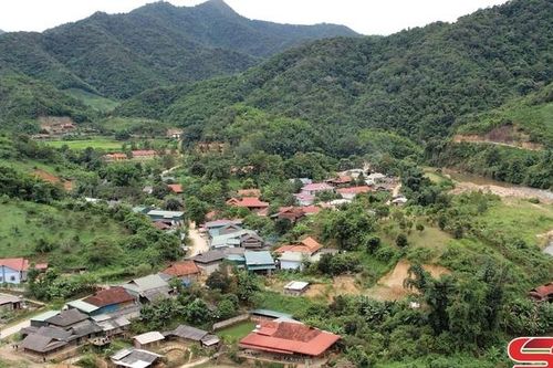 Đảng viên tiên phong phát triển kinh tế