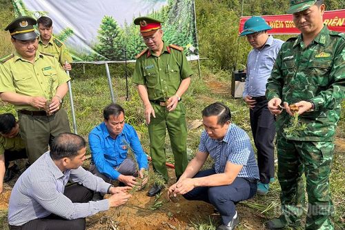 Vững vàng nơi biên cương