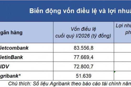 Áp lực và cơ hội song hành, ngân hàng 'big 4' bước vào chu kỳ tăng vốn mới
