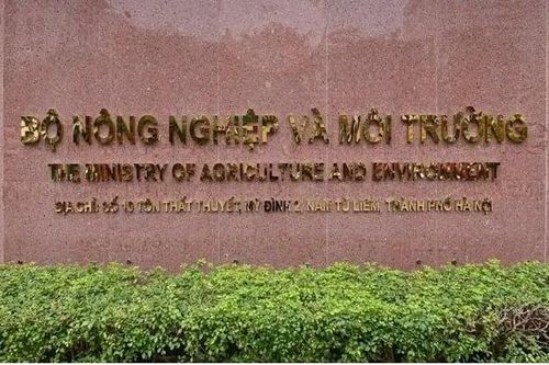 Bộ Nông nghiệp và Môi trường giảm gần một nửa đầu mối sau sáp nhập