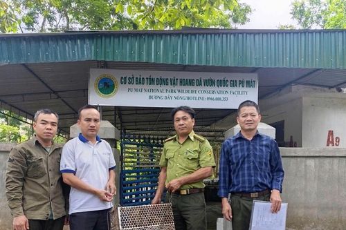Bộ Công an yêu cầu xử lý nghiêm để tiến tới chấm dứt tình trạng săn, bắt tận diệt các loài chim hoang dã, di cư