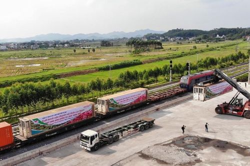 Hóa giải nút thắt logistics giúp HTX rộng đầu ra