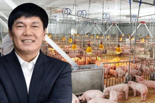 'Mỏ vàng' mới của Hòa Phát kiếm về bao nhiêu mỗi ngày