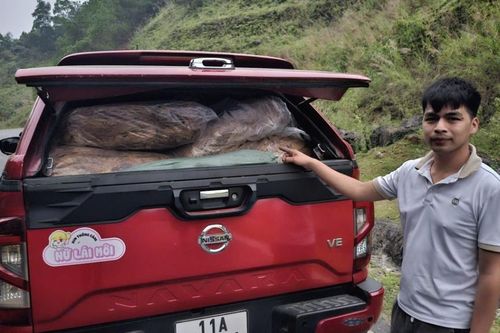 Phát hiện, thu giữ trên 1,2 tấn nguyên liệu thuốc lá không rõ nguồn gốc