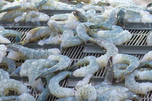 Kinh tế Cà Mau tăng tốc, tạo đà bứt phá quý II