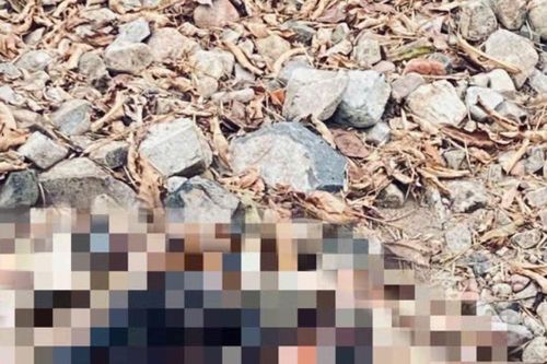Nam thanh niên rời nhà nhiều ngày, thi thể được phát hiện trên núi cao tỉnh Lâm Đồng
