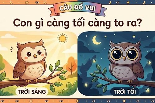 Giải mã câu đố gây bão mạng xã hội: Con gì càng tối càng to?