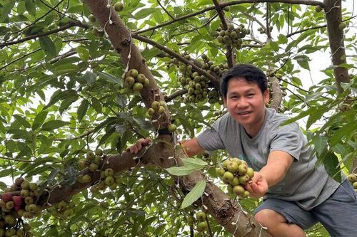 'Ông hoàng nhạc đỏ' mê làm nông, có nhà vườn rộng 4.000m²