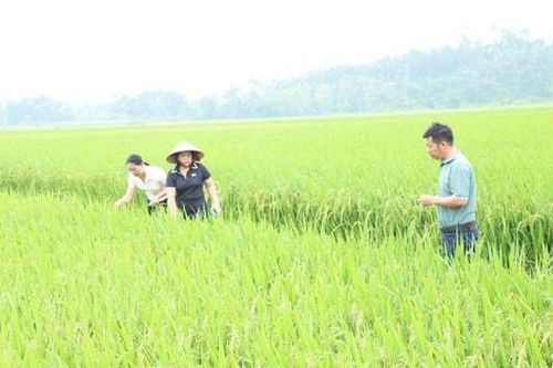 Yên Xuân sẵn sàng cho công tác phòng, chống thiên tai 2026