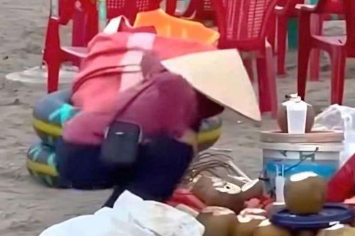 Ninh Bình: Đình chỉ người bán hàng tại biển Thịnh Long sau vụ việc gây bức xúc dư luận