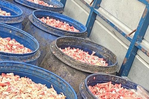 Kinh hãi gần 2 tấn xương chân gà bốc mùi hôi thối được người đàn ông vận chuyển đi bán