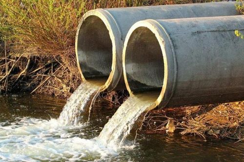 Gây ô nhiễm môi trường, 3 doanh nghiệp ở Hải Phòng bị xử phạt