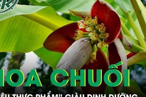 Hoa chuối giúp giảm mỡ máu, ổn định đường huyết và tốt cho hệ tiêu hóa