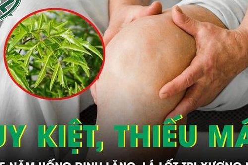Người đàn ông không thể đi lại sau 15 năm uống đinh lăng, lá lốt trị xương khớp