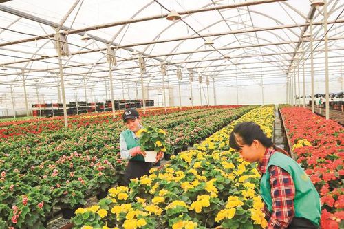 Mặt trận khẳng định vai trò trung tâm đoàn kết trong phát triển kinh tế xanh