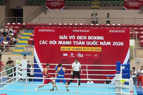 312 VĐV tranh tài tại Giải vô địch Boxing các đội mạnh toàn quốc 2026