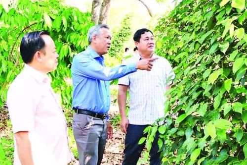 Nâng cao năng lực đội ngũ cán bộ cơ sở