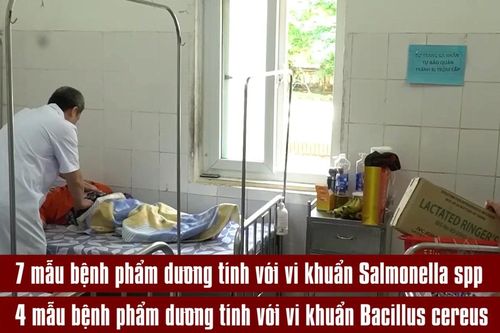 [Video] Phát hiện vi khuẩn Salmonella và Bacillus trong vụ ngộ độc bánh mì ở Quảng Trị