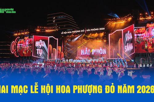 Khai mạc Lễ hội Hoa phượng đỏ năm 2026