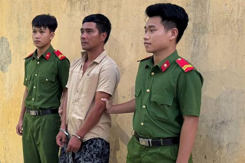 Truy xét nhanh đạo chích