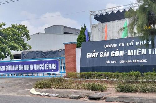 Đà Nẵng yêu cầu khẩn trương xử lý ô nhiễm môi trường tại nhà máy giấy