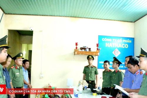 Vụ án Hathaco: Lật tẩy thủ đoạn 'phù phép' dữ liệu thí nghiệm để trục lợi
