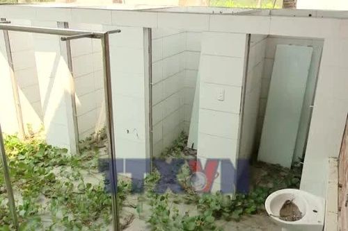 Quảng Trị: Dự án bãi tắm hàng chục tỷ đồng 'đắp chiếu,' cỏ dại mọc tràn lan