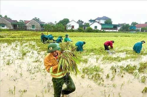 Mưa lớn làm 1 người bị thương và nhiều thiệt hại tại các địa phương