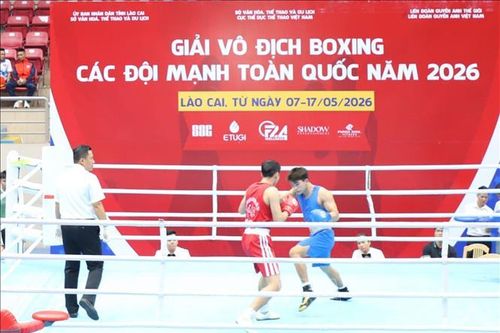 Khai mạc Giải vô địch boxing các đội mạnh toàn quốc năm 2026