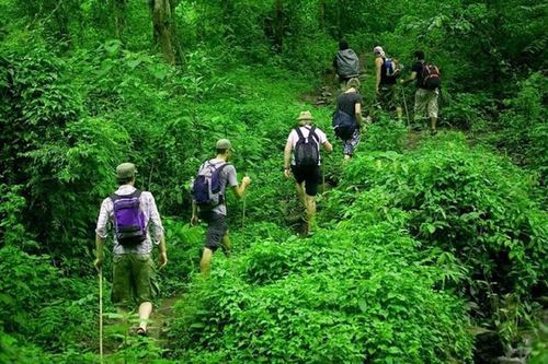Từ 25/6 tự ý tổ chức du lịch trong rừng bị phạt tới 10 triệu đồng