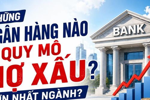 Những cục nợ xấu ngân hàng đang nằm ở đâu?