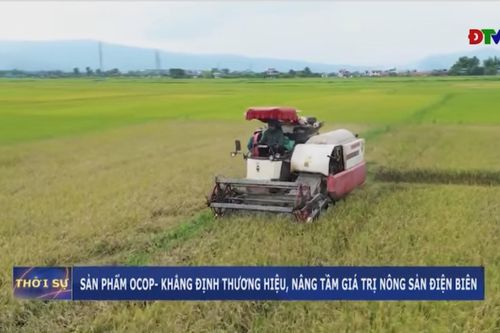 Sản phẩm OCOP- Khẳng định thương hiệu, nâng tầm giá trị nông sản Điện Biên
